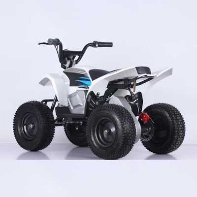 350W ミニ電気ATV 四輪自転車 1000W 36V 12Ah クワッドバイク 5-7h充電時間