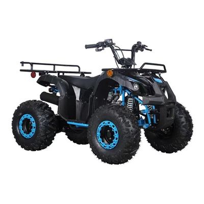 CE認定 110cc 125cc ビッグ パワー 農園四駆自転車 子供の野外冒険