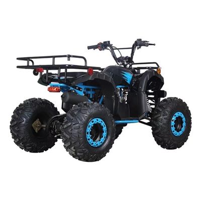 CE認定 110cc 125cc ビッグ パワー 農園四駆自転車 子供の野外冒険