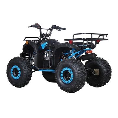 CE認定 110cc 125cc ビッグ パワー 農園四駆自転車 子供の野外冒険
