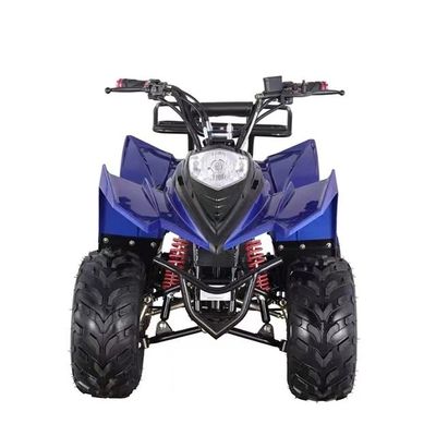 最大トルク ≤20Nm 赤/青/黒/緑/黄色の特徴で子供用ミニATV 750W