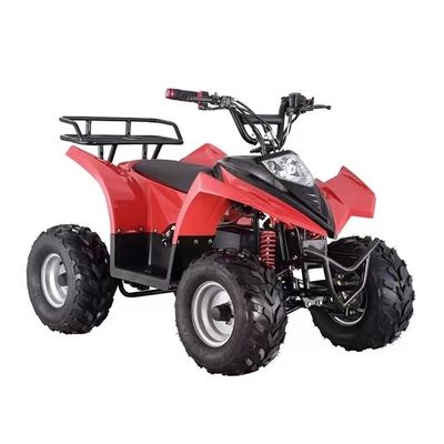 格安なミニ電気ATVクワッド グレード能力 ≥25° 差点ロック