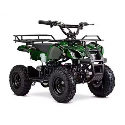 電気ATV 500W 800W 4ホイラー四輪自転車 子供のためのオフロード冒険と冒険