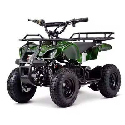 電気ATV 500W 800W 4ホイラー四輪自転車 子供のためのオフロード冒険と冒険