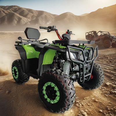 格安な250cc 4ホイールATVモーターサイクル 対応するカスタマイズ可能な色