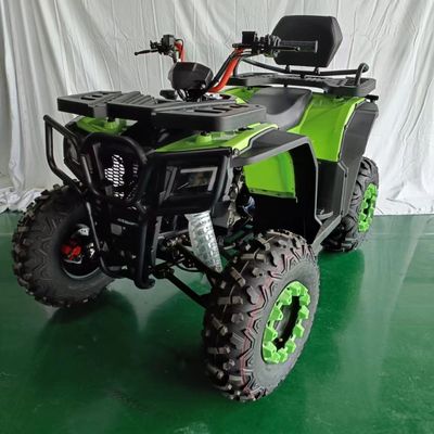 格安な250cc 4ホイールATVモーターサイクル 対応するカスタマイズ可能な色