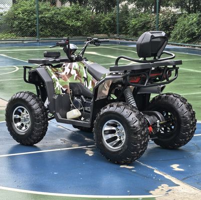 250cc 四輪ビーチバギー チェーンドライブ ダブル 四輪 マウンテン クアトリモト ATV 4x4