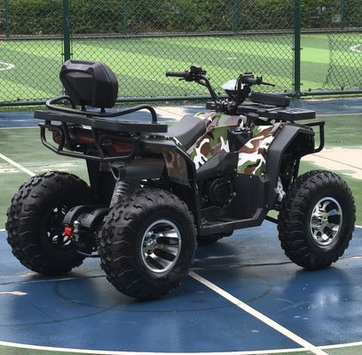 内なるアドベンチャー 250cc自動連鎖駆動ATVをオフロードに乗るために解放
