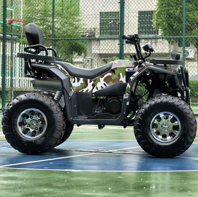 内なるアドベンチャー 250cc自動連鎖駆動ATVをオフロードに乗るために解放