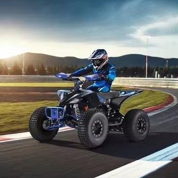 19x7.0-8&quot;/18x9.5-8&quot; タイヤサイズ キッズ エレクトリック 4ホイラー クアッドATV 1000w CE認証
