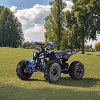19x7.0-8&quot;/18x9.5-8&quot; タイヤサイズ キッズ エレクトリック 4ホイラー クアッドATV 1000w CE認証