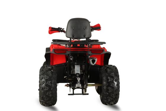 200cc GY6 ガソリン全地形車 4x4 中国市場での成人向け自動ATV