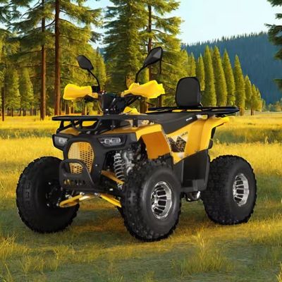 125cc 農場用クワッド ATV 成人用 強力なガソリン/ディーゼルエンジンとチェーンドライブ