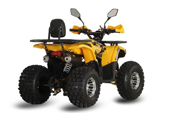 カスタマイズ サポート カラー 強力 125 cc チェーンドライブ ガソリンレーシング ATV 大人向け