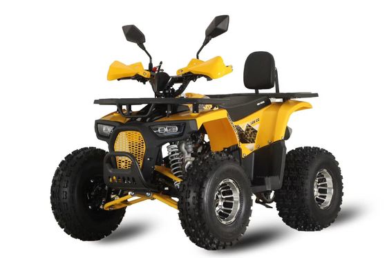 カスタマイズ サポート カラー 強力 125 cc チェーンドライブ ガソリンレーシング ATV 大人向け