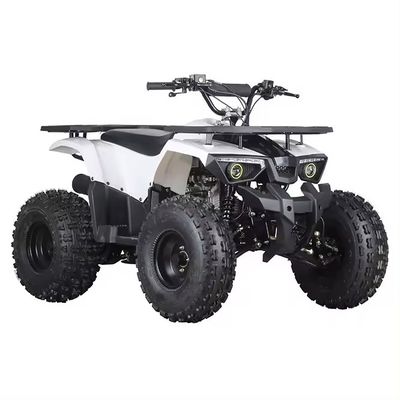 オートマティックトランスミッションタイプ アートンモーター 110cc 125cc 150cc クアトリモト ATV 大人向け