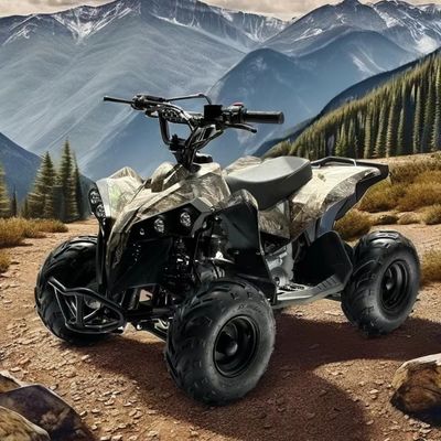 ガソリン燃料 110CC ATV チェーンドライブトランスミッションシステムで動力