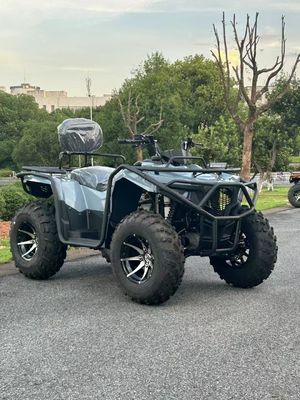 350cc 四筋水冷式ATV 4x4 クアッドバイク バシャンエンジン