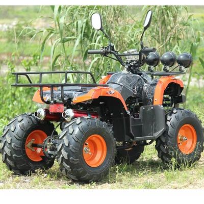 110cc 125cc ATV 安価な自動連鎖駆動 装備されていない差差ロック