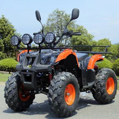 110cc 125cc ATV 安価な自動連鎖駆動 装備されていない差差ロック