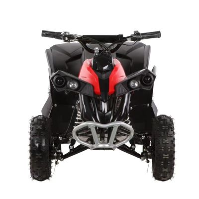 チェーンドライブ エレクトリックATV 36V 800W 48V 1000W バギー四駆自転車 スポーツとレクリエーション
