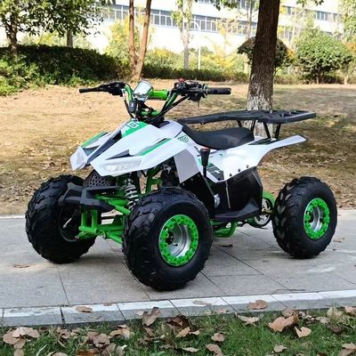 1250*760*800MM 110cc 排気量 電気スタートとチェーンドライブを持つ子供ATV