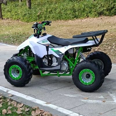 1250*760*800MM 110cc 排気量 電気スタートとチェーンドライブを持つ子供ATV