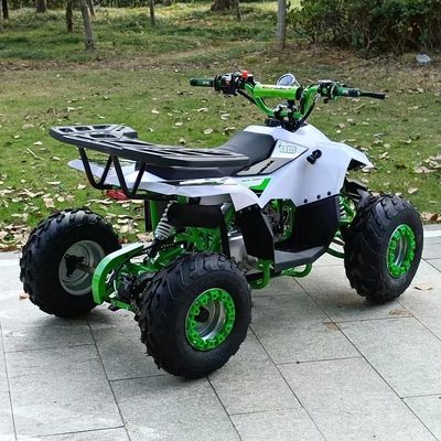 1250*760*800MM 110cc 排気量 電気スタートとチェーンドライブを持つ子供ATV