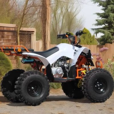 110cc-125cc 大人のための自動ATV CE承認 8インチタイヤ ガソリンクワッドバイク 大輪