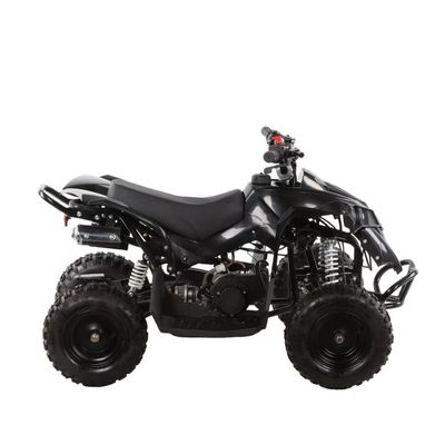 49cc キッズ ATV 4ホイール キッズ 4x4 サイド・バイ・サイド ミニATV チェーンのトランスミッション