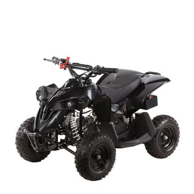 49cc キッズ ATV 4ホイール キッズ 4x4 サイド・バイ・サイド ミニATV チェーンのトランスミッション