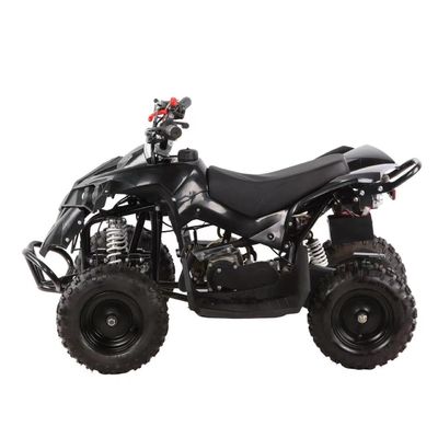 49cc キッズ ATV 4ホイール キッズ 4x4 サイド・バイ・サイド ミニATV チェーンのトランスミッション