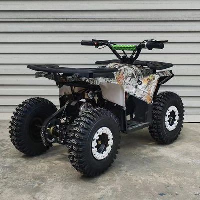 ガソリンオフロード成人 2x4 ATV 110cc-150cc エンジンと最大速度≤50Km/h