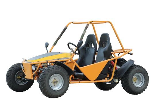 175cc 200cc オートマティック 4ストーク デューンバギー 大人用 ガソリン駆動 ゴーカート UTV 大人用