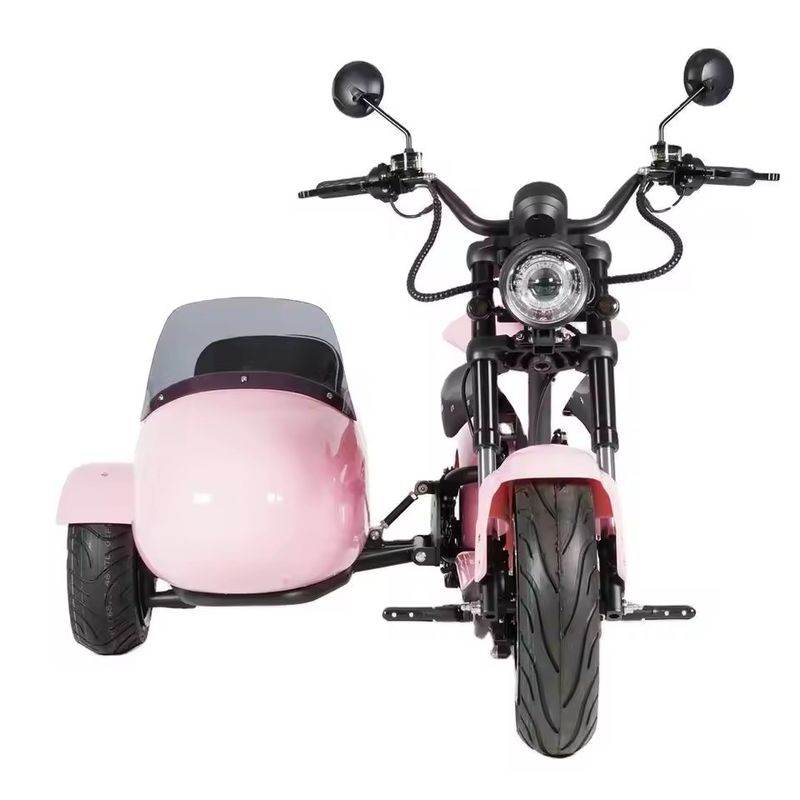 ペットキャリバー付き電気サイドカーバイク 1000W-3000W 60-80km 範囲 41-50km/h 最大速度