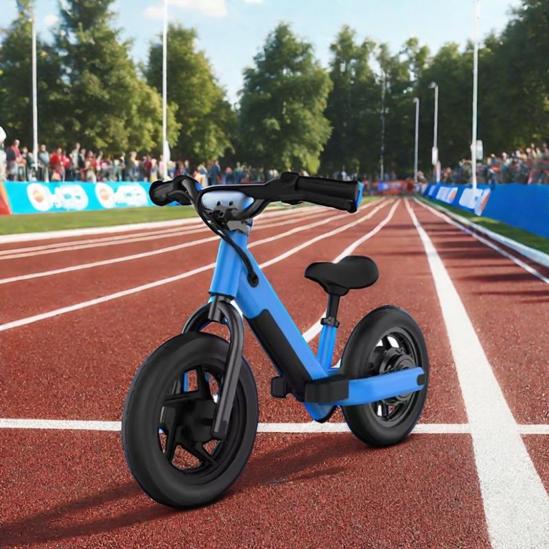 16インチ ペダルなし 子供のための自転車 安定サイクル モーターパワー 200W アルミ合金フォーク