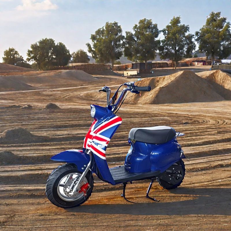 DISC ブレーキ 49cc ガソリン駆動 ミニダートバイク 子供の屋外楽しみのために カスタマイズされた色で