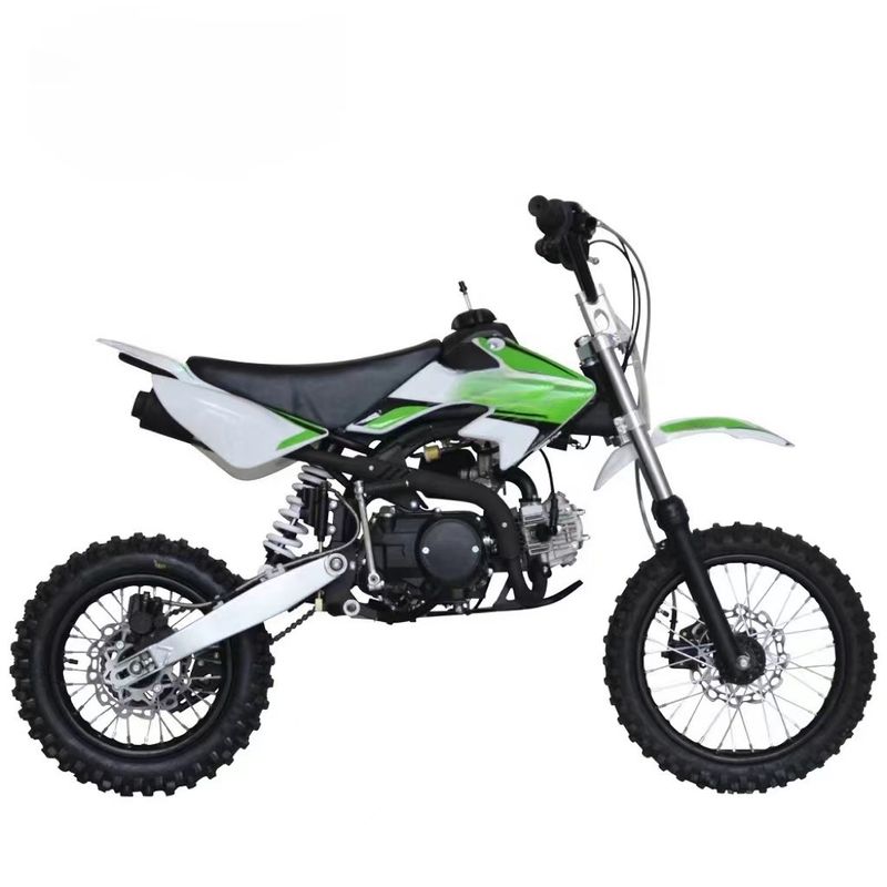 カスタマイズされたカラー サポート 125cc ピットバイク 電気スタート効率