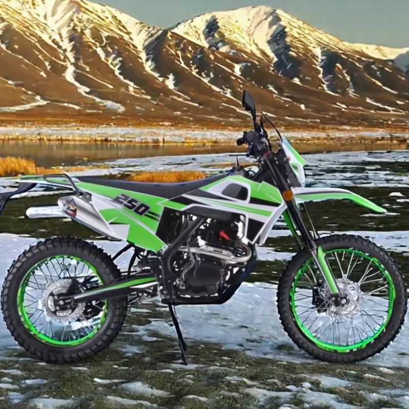 250cc エンジン カスタマイズされた色 サポートオフロード ガソリンダートバイク 大人向け