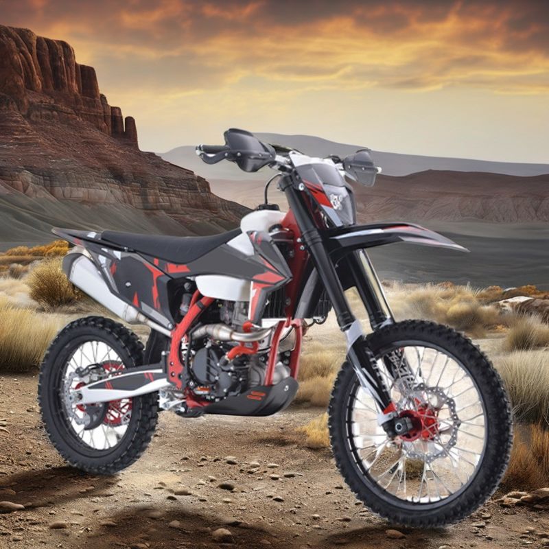 アオトンモーターピットバイク ディートバイク ポケットバイク モットクロス供給エンジン 300cc ブレーキDISC