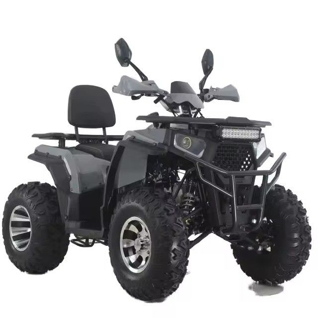 Aotong GY6 モーター 200CC/250CC 大人のための自動四駆 10INCH/12INCH 農場ATV