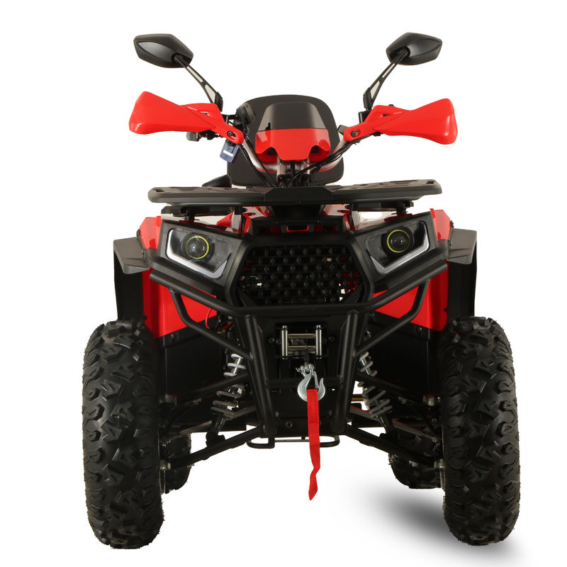 高性能 GY6 200CC/250CC 大人のための自動クアッドバイク 10INCH農場ATVオフロード