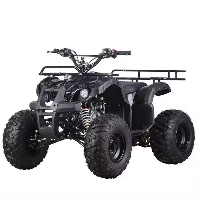 125cc 110cc キッズ ATV クワッド ミニ クワッド モーターバイク 子供向け リバース 予算に適した
