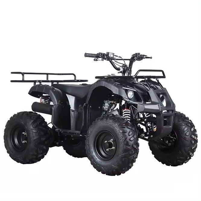 チェーンドライブ 110cc/125cc 4ストーク オールテレラン 四輪ビーチバギー ガソリンクワッドバイク