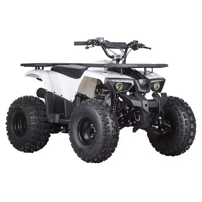 110cc-150cc エンジン レース ATV キッズ クワッドバイク 農場 最大トルク ≤20Nm