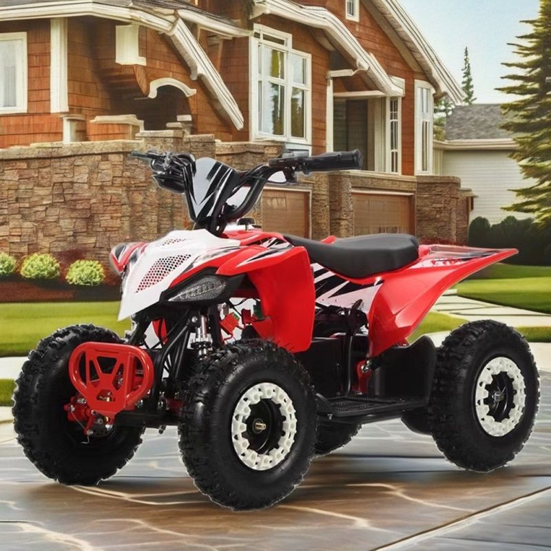 36V キッズクワッド 電動 1000w ATV 125cc 6インチ オートマティッククワッド 子供用 2WD