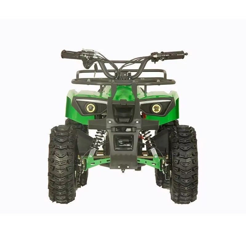 電動四駆Aotong 1000w48V20Ah 2WD運転タイプと5-7h充電時間