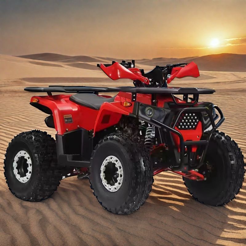 110cc 125cc クワッドバイク 4ホイラー アドベンチャーATV 4x2 大人のための運転 操作が簡単