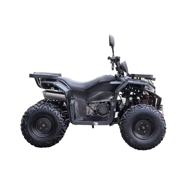 150cc エンジン オーダーメイド 鉄管 自動ATV Utv パーツ 2人用アクセサリー