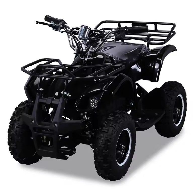 600-1000mmホイールベース 36V 800W ミニ電動ATV CEとチェーンドライブトランスミッション